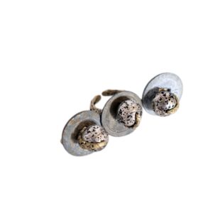 Empowering 3 coins silver plated lava stone